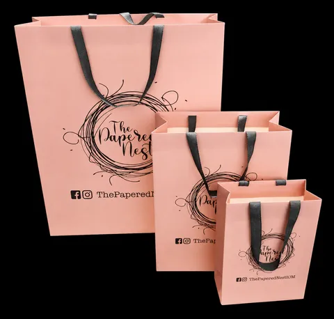 Printed paper gift bag